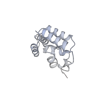 0031_6gmh_D_v1-3
Structure of activated transcription complex Pol II-DSIF-PAF-SPT6