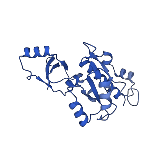 0031_6gmh_E_v1-3
Structure of activated transcription complex Pol II-DSIF-PAF-SPT6