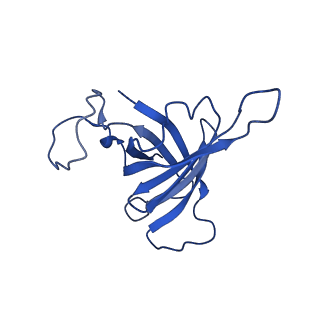 0031_6gmh_H_v1-3
Structure of activated transcription complex Pol II-DSIF-PAF-SPT6