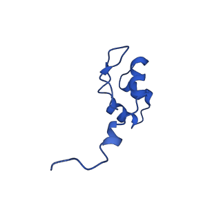 0031_6gmh_J_v1-3
Structure of activated transcription complex Pol II-DSIF-PAF-SPT6