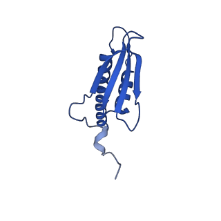 0031_6gmh_K_v1-3
Structure of activated transcription complex Pol II-DSIF-PAF-SPT6