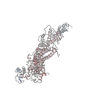 0031_6gmh_M_v1-3
Structure of activated transcription complex Pol II-DSIF-PAF-SPT6