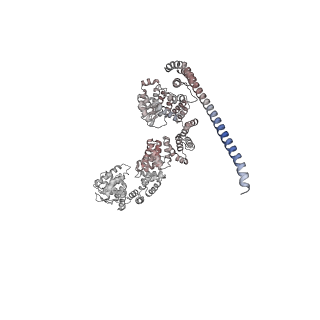 0031_6gmh_Q_v1-3
Structure of activated transcription complex Pol II-DSIF-PAF-SPT6
