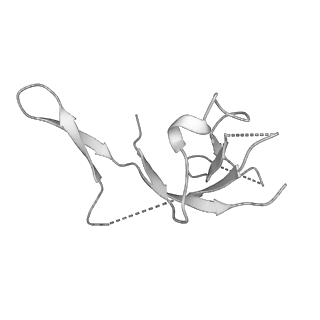 0031_6gmh_V_v1-3
Structure of activated transcription complex Pol II-DSIF-PAF-SPT6