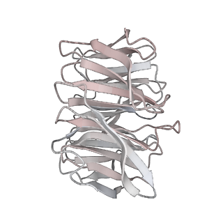 0031_6gmh_W_v1-3
Structure of activated transcription complex Pol II-DSIF-PAF-SPT6
