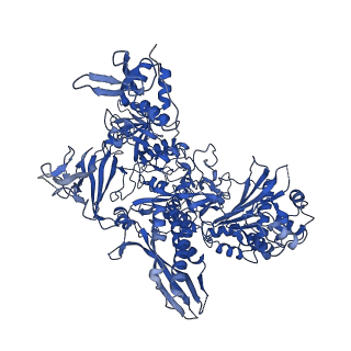 0038_6gml_B_v1-2
Structure of paused transcription complex Pol II-DSIF-NELF