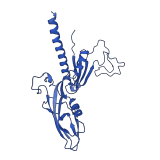 0038_6gml_C_v1-2
Structure of paused transcription complex Pol II-DSIF-NELF
