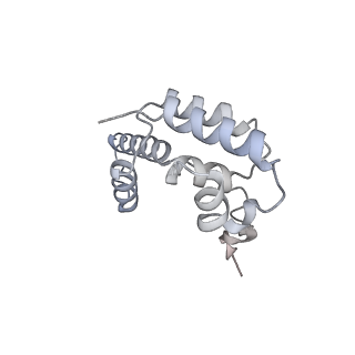 0038_6gml_D_v1-2
Structure of paused transcription complex Pol II-DSIF-NELF