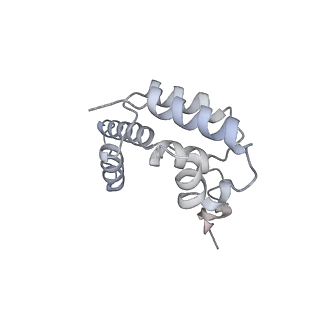 0038_6gml_D_v2-1
Structure of paused transcription complex Pol II-DSIF-NELF