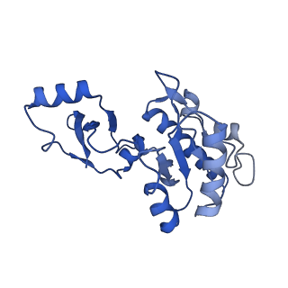0038_6gml_E_v1-2
Structure of paused transcription complex Pol II-DSIF-NELF