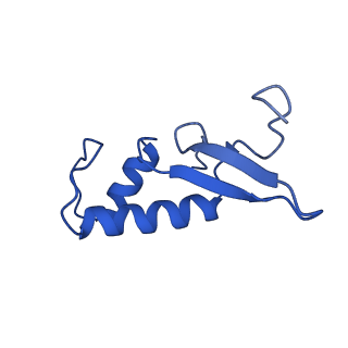 0038_6gml_F_v1-2
Structure of paused transcription complex Pol II-DSIF-NELF