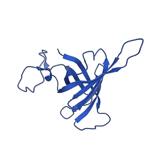 0038_6gml_H_v1-2
Structure of paused transcription complex Pol II-DSIF-NELF