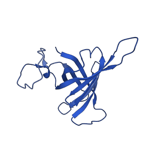 0038_6gml_H_v2-1
Structure of paused transcription complex Pol II-DSIF-NELF