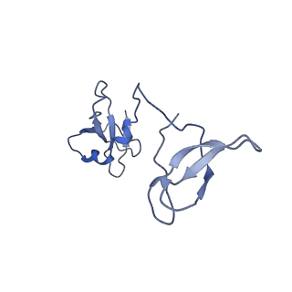 0038_6gml_I_v1-2
Structure of paused transcription complex Pol II-DSIF-NELF