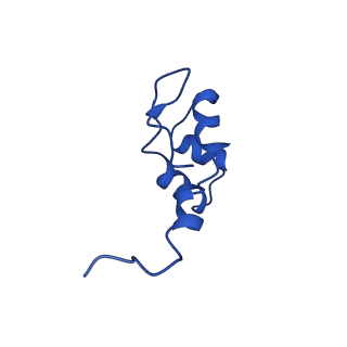 0038_6gml_J_v1-2
Structure of paused transcription complex Pol II-DSIF-NELF