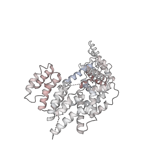 0038_6gml_V_v1-2
Structure of paused transcription complex Pol II-DSIF-NELF