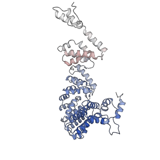 0038_6gml_W_v1-2
Structure of paused transcription complex Pol II-DSIF-NELF