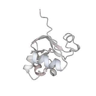 0038_6gml_Y_v1-2
Structure of paused transcription complex Pol II-DSIF-NELF