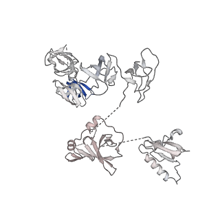 0038_6gml_Z_v1-2
Structure of paused transcription complex Pol II-DSIF-NELF