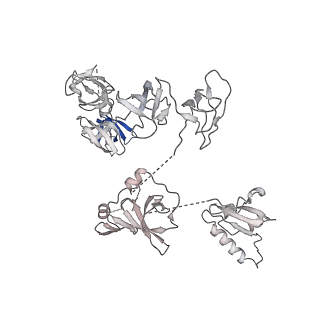 0038_6gml_Z_v2-1
Structure of paused transcription complex Pol II-DSIF-NELF