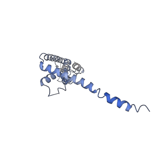 40229_8gmp_A_v1-0
Cryo-EM structure of octameric human CALHM1 with a I109W point mutation