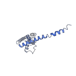 40229_8gmp_B_v1-0
Cryo-EM structure of octameric human CALHM1 with a I109W point mutation