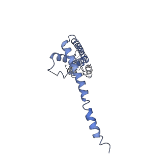 40229_8gmp_C_v1-0
Cryo-EM structure of octameric human CALHM1 with a I109W point mutation