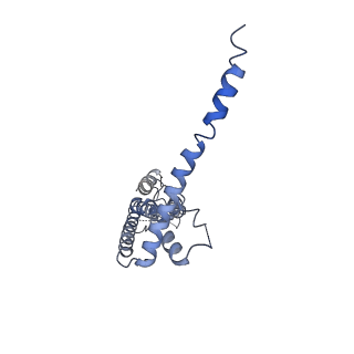 40229_8gmp_D_v1-0
Cryo-EM structure of octameric human CALHM1 with a I109W point mutation