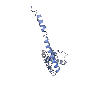 40229_8gmp_E_v1-0
Cryo-EM structure of octameric human CALHM1 with a I109W point mutation