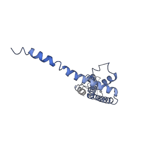 40229_8gmp_F_v1-0
Cryo-EM structure of octameric human CALHM1 with a I109W point mutation