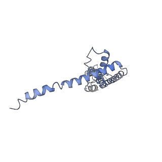 40229_8gmp_G_v1-0
Cryo-EM structure of octameric human CALHM1 with a I109W point mutation