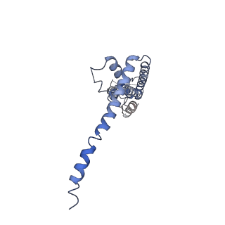 40229_8gmp_H_v1-0
Cryo-EM structure of octameric human CALHM1 with a I109W point mutation