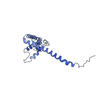 40230_8gmq_A_v1-0
Chicken CALHM1 purified from mammalian cells