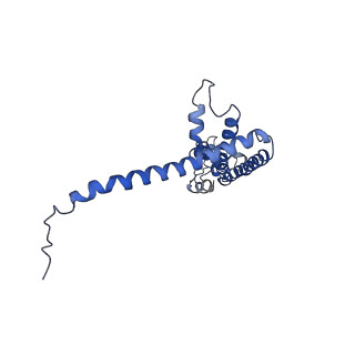 40230_8gmq_F_v1-0
Chicken CALHM1 purified from mammalian cells