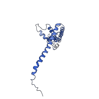 40230_8gmq_G_v1-0
Chicken CALHM1 purified from mammalian cells