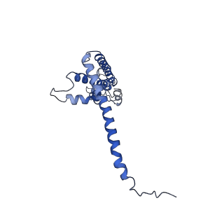 40230_8gmq_H_v1-0
Chicken CALHM1 purified from mammalian cells