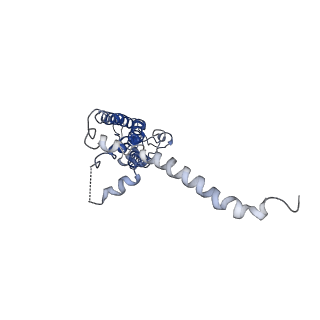 40231_8gmr_A_v1-1
Cryo-EM structure of octameric human CALHM1