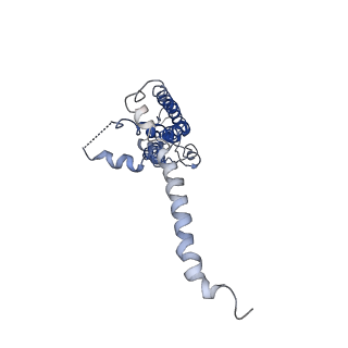 40231_8gmr_B_v1-1
Cryo-EM structure of octameric human CALHM1