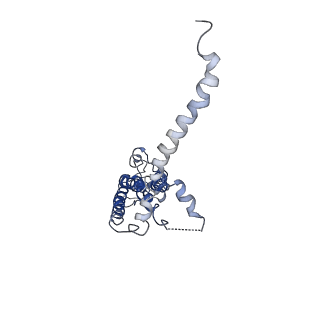 40231_8gmr_D_v1-1
Cryo-EM structure of octameric human CALHM1