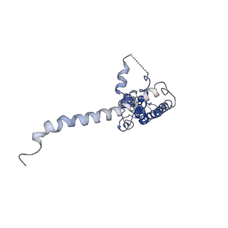 40231_8gmr_G_v1-1
Cryo-EM structure of octameric human CALHM1