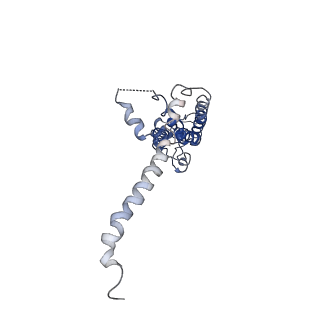 40231_8gmr_H_v1-1
Cryo-EM structure of octameric human CALHM1