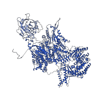 9524_5gm6_A_v1-2
Cryo-EM structure of the activated spliceosome (Bact complex) at 3.5 angstrom resolution
