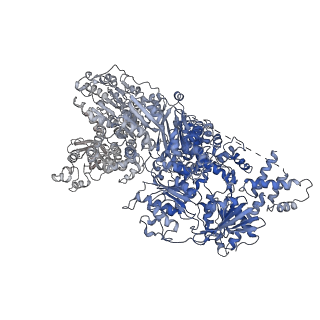 9524_5gm6_B_v1-2
Cryo-EM structure of the activated spliceosome (Bact complex) at 3.5 angstrom resolution