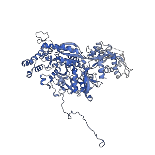 9524_5gm6_C_v1-2
Cryo-EM structure of the activated spliceosome (Bact complex) at 3.5 angstrom resolution