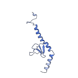 9524_5gm6_I_v1-2
Cryo-EM structure of the activated spliceosome (Bact complex) at 3.5 angstrom resolution