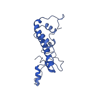 9524_5gm6_T_v1-2
Cryo-EM structure of the activated spliceosome (Bact complex) at 3.5 angstrom resolution