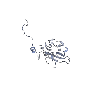 9524_5gm6_U_v1-2
Cryo-EM structure of the activated spliceosome (Bact complex) at 3.5 angstrom resolution