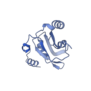 9524_5gm6_V_v1-2
Cryo-EM structure of the activated spliceosome (Bact complex) at 3.5 angstrom resolution