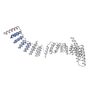 9524_5gm6_d_v1-2
Cryo-EM structure of the activated spliceosome (Bact complex) at 3.5 angstrom resolution
