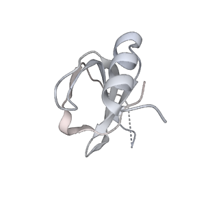9524_5gm6_i_v1-2
Cryo-EM structure of the activated spliceosome (Bact complex) at 3.5 angstrom resolution